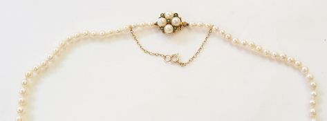 Cultured pearl necklace, single strand, graduated, with 9ct gold pearl and turquoise set