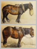 Watercolour drawing
Unattributed
Study of a carthorse, 23 x 33cm
and another
by the same hand