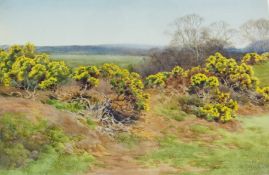 Watercolour 
Charles James Adams (19th/20th century) 
Moorland landscape with gorse in bloom, 37 x