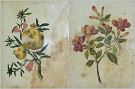Watercolours
Set of six oriental botanical studies, painted on rice paper, gilt frames, 20 x 50 cm