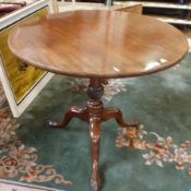 George III mahogany tilt-top tripod occasional table, top with plain mould edge, turned tapered