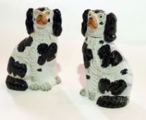 Pair Staffordshire pottery spaniels, each painted with blue, black and gilt highlights