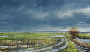 Watercolour 
Jonathan Pomroy (Contemporary)
Heavy squall approaching Slimbridge, January, 24 x 41 cm