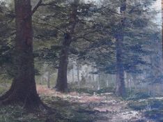 Oil on board 
19th century English School
The Woodland Glade, unsigned, 18 x 24 cm approximately