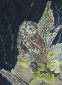 Watercolour 
Susan J. Wilson (Contemporary) 
Study of an owl perched on a tree stump, signed, 36 x