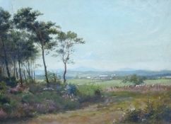 Oil on board
Unattributed
Extensive landscape with woodland in foreground, 28 x 38cm