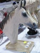 Contemporary ceramic sculpture of a horse's head, by Irene French, on a glass plinth