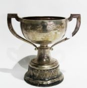 A George V silver twin handled trophy cup, "St Marks Community Centre Flower Show", raised on a