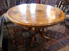 Burr walnut oval table on carved supports