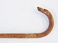 Walking stick with carved dog's head terminal, having glass eyes and rosewood walking cane