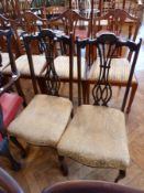 Pair stained wood Edwardian dining chairs, with scroll and pierced splats and cabriole supports