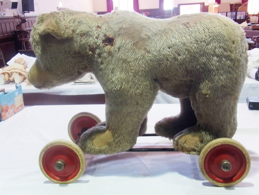 Steiff bear on wheels with pull cord, having red and white wheels