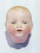 Armand Marseille bisque baby doll head, no. 351/6K
