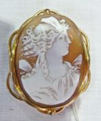 Carved shell cameo brooch, oval, classical female profile portrait in gold coloured metal frame