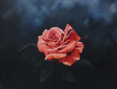 Oil on canvas
Donald Selway
Still-life study of a rose
