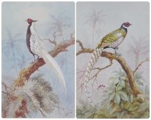 Watercolour 
Donald Birbeck (painted at Royal Worcester)
Pair of finely painted pheasants, perched