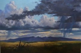 Oil on canvas 
Donald Selway
Extensive landscape with mountains in distance beneath dark rain