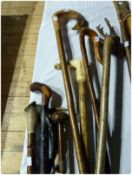 Nine various walking sticks, one birchwood with a carved wooden stag's head, carved osprey/eagle