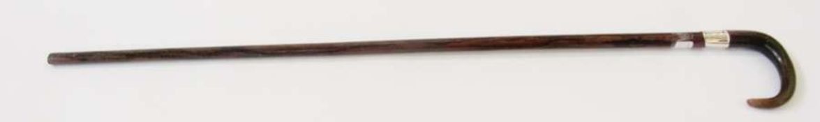 Rosewood walking cane with white metal collar and bone handle