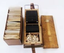 Quantity lantern slides, including detailed shots of Wells Cathedral and insect and other