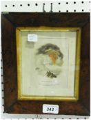 Baxter print
Scene on mountain tops, published circa 1830, in burr walnut frame, 16 x 13cm