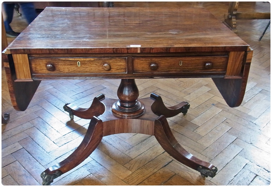 Regency rosewood sofa table, the rectangular top with curved drop ends, two frieze and two dummy