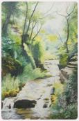 Watercolour
M. Steward (1990)
Study of babbling brook, signed and dated
Watercolour
R. Stanley (