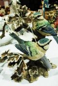 Five Coalport model birds, to include "Wrens", "Gold Crests", "Blue Tits", "Kingfishers" and "