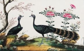 Album of twelve Chinese watercolours, of various exotic birds on branches, rocks etc., each