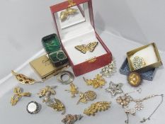 Quantity costume jewellery  including:- brooches (1 box)