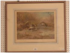 Colourprint 
Archibald Thorburn, 1923
Snipe at Waterway, signed and dated, 40 x 31cm, framed and