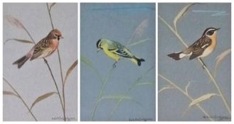 Watercolours
Ralston Gudgeon 
Study of a Siskin, a Lesser Redpoll and a Whinchat, signed, 25 x 16 cm
