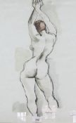 Watercolour and charcoal
Sidney Horne Shepherd 
Rear view study of a female nude, signed, 53 x 33cm