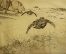 Limited edition coloured drypoint etching
Henry Wilkinson 
Partridges in flight, 30/150, 27 x