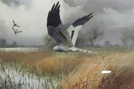 Watercolour and gouache 
J.C. Harrison 
Hawk hunting a reed bed with mallard in flight, signed, 53 x