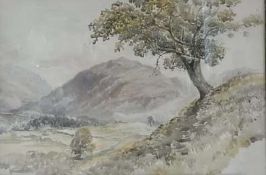 Watercolour
Nineteenth century English school
Mountainous landscape study with tree in the fore,