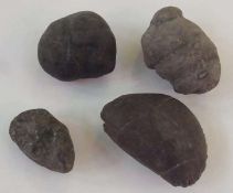 Four Papua New Guinea fossils
