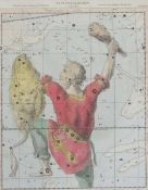 L. Herbert "Constellation, Orion", coloured engraving, 26 x 20cm, within mount (1)