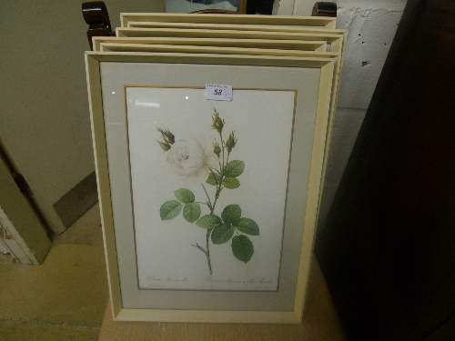 A collection of framed and glazed botanical prints