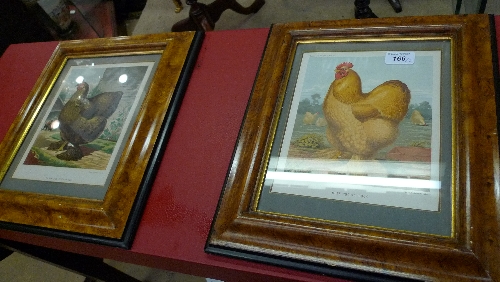 A pair of framed and glazed colour prints of hens