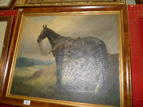 An oil on canvas of a black stallion within maple frame signed Burges