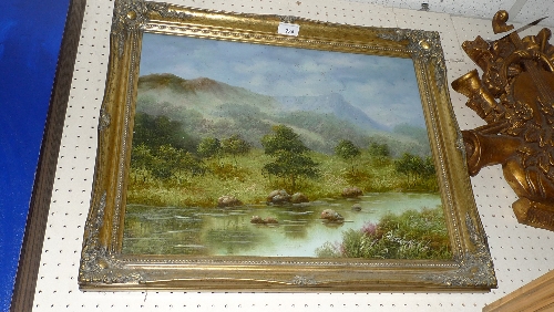 An oil on canvas mountainous valley scene signed Peterson in a gilt frame