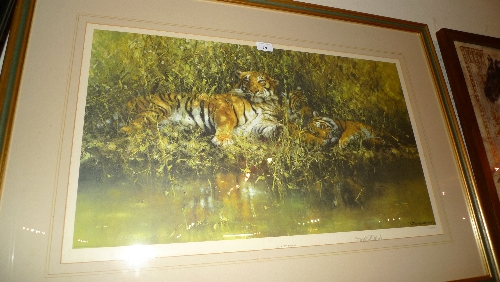 A David Shepherd limited edition print ``Sleepy Tigers`` signed