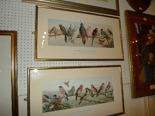 A pair of framed and glazed coloured prints ``An English Team`` and ``An Australian Eleven``