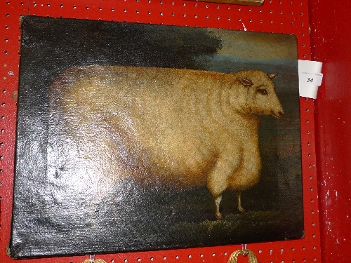 A C19th unframed oil on canvas naive study of a sheep