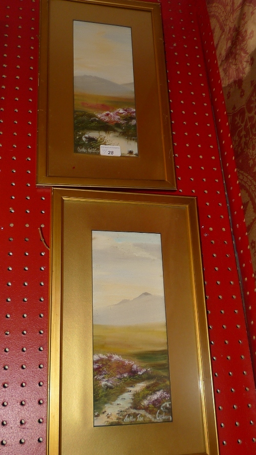 A pair of watercolours National Park `Leather Tor` and `High Willhays`