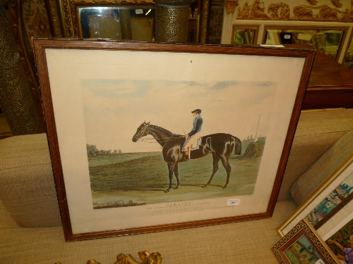 A colour print Derby winner `Cadland` framed and glazed