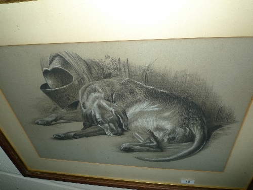 A pencil drawing heightened in white of a sleeping hunting hound framed and glazed