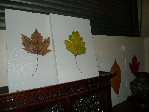 A set of canvas screen prints foliage studies