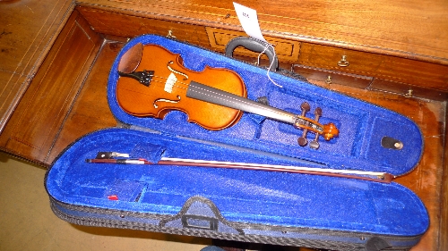 A cased violin